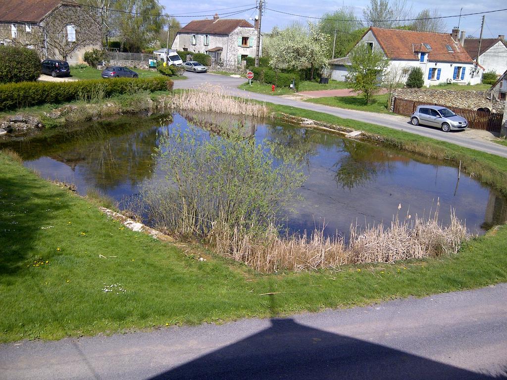 Gite Du Grand Morin Villeneuve-la-Lionne Kültér fotó